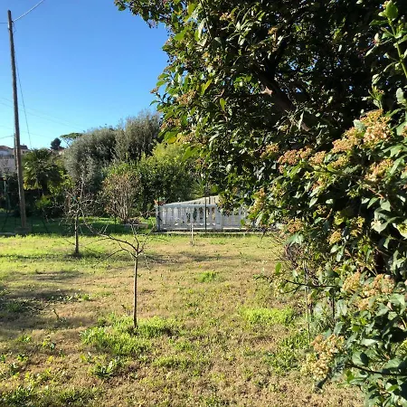 Casa Delle Arance Hébergement de vacances *